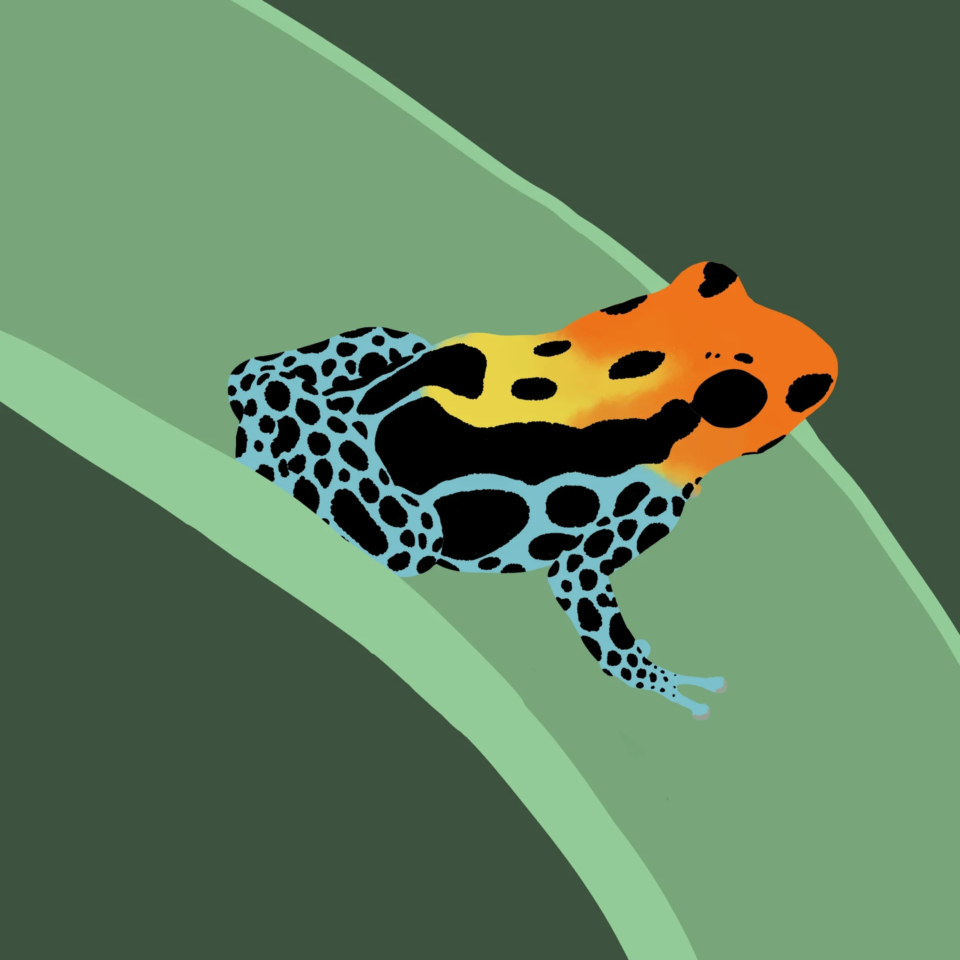 chely-samara-verbesserter-froggo-wip01