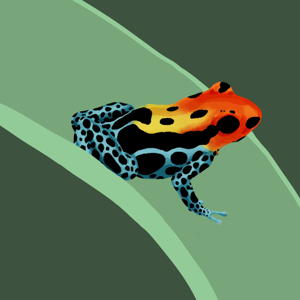 chely-samara-verbesserter-froggo-wip02